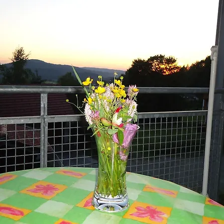 Am Silberberg Apartment Bodenmais
